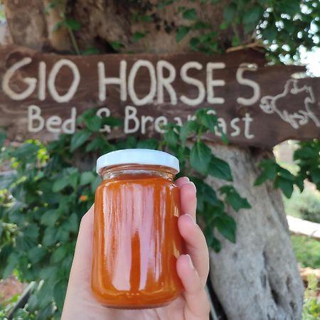 Gio Horses B&B San Nicandro Garganico Exteriör bild