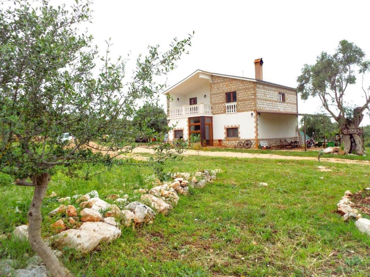 Gio Horses B&B San Nicandro Garganico Exteriör bild